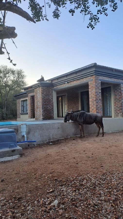 Nanisto Bush Lodge มาร์ลอทพาร์ค ภายนอก รูปภาพ